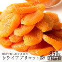 ドライ アプリコット 砂糖不使用 850g ドライフルーツ 送料無料 850g [ 乾燥果物 あんず 杏 送料無料 ドライフルーツ 砂糖不使用 大容量 訳あり ドライフルーツ ドライ フルーツ クエン酸 βカロテン ] 大容量 お徳用 1kgより少し少ない850g お取り寄せグルメ