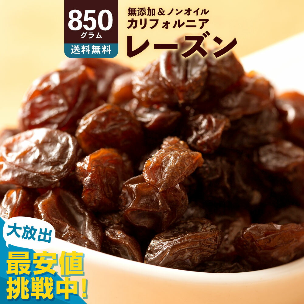 ＼ 最安値挑戦 ／ レーズン 「麗しのレーズン850g」 送料無料 [ ノンオイル 無添加 砂糖不使用 カリフォルニア産 ドライフルーツ 激安 訳あり 1kg より少ない ]