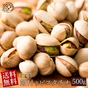 ピスタチオ 無塩 500g 送料無料 愛すべきナッツ 殻付き ピスタチオ 素焼き ピスタチオ アメリカ産 大粒 殻付きピスタチオ 殻つき おつまみ 食品 ナッツ 高級ナッツ 焙煎 ロースト 殻あり お試し おやつ お買い物マラソン SALE セール