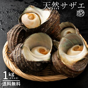 サザエ さざえ (殻入り) 1kg (4〜5個) 天然サザエ 香川県産 冷蔵 [送料無料 海鮮 貝 バーベキュー BBQ 壺焼き 貝類 ] グルメ