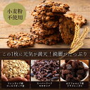 クッキー 送料無料 訳あり スイーツ オートミールシリアルクッキー どっさり1kg 割れあり ざぐざぐ食感 スイーツ 大容量 大量 焼き菓子 お取り寄せスイーツ わけあり 割れ 子供 お取り寄せグルメ 2