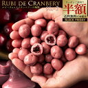 \まさかの 半額クーポン/ チョコレート ルビーチョコ 「上品な甘酸っぱさがあなたを虜に。ルビーチョコクランベリー 2袋セット (90g×2)」 送料無料 [ ...