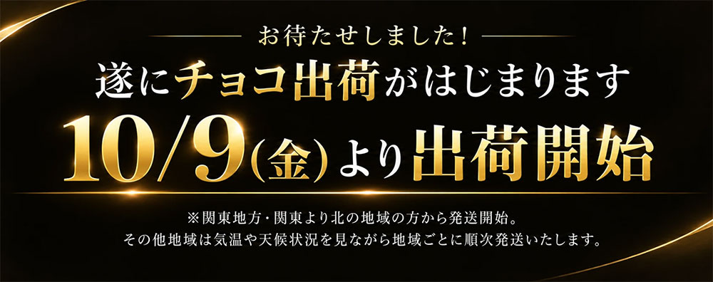 【期間限定 クーポンで10%OFF】 割れチョコ 禁断の割れチョコ「マーブルスイート ...