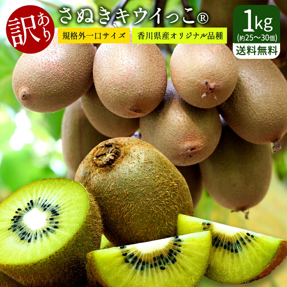 【訳あり】 数量限定 「香川県産 不揃いの訳ありさぬきキウイっ子 1kg 規格外・一口サイズ(大小サイズにバラつきあり)・ 訳有 」 送料無料 [ 農薬削減 キ...