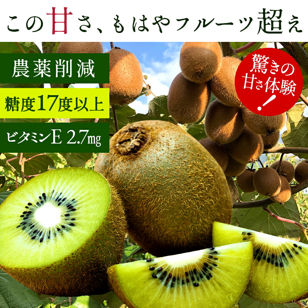【訳あり】 数量限定 「香川県産 不揃いの訳ありさぬきキウイっ子 1kg 」 送料無料 [ 農薬削減 キウイ 果物 フルーツ 訳有 欠け 規格外 無選別 生 ベビーキウイ ] 【予約】