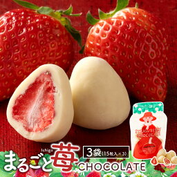 西内花月堂 フルーツチョコレート ＼可愛くなって再登場／ チョコレート 送料無料 まるごと苺チョコレート 3袋セット (1袋あたり15粒入×3) [ スイーツ チョコ ストロベリー 苺 まるごと ホワイトチョコ いちご お菓子 贈り物 お返し ] 楽天スーパーSALE