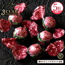 TV放送で話題殺到!「3CLAP!CHOCOLATE 春のフラミンゴ(ホワイト&桜) 1箱あたり5粒入り×4セット 」 送料無料 [ スリークラップチョコレート...