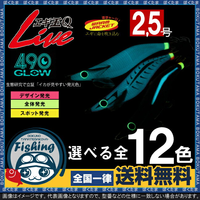 ̵ۥޥQLIVE490(󥭥塼ޥ)2.5٤12[YAMASHITAYAMASITAڤޥޥꥢȯ]12