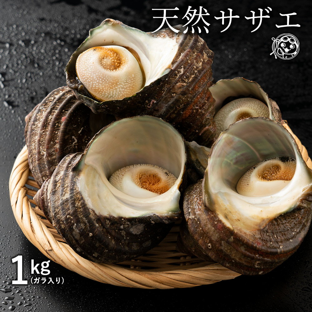 原材料： サザエ 内容量： 1kg(4〜5個）※1個あたり200g〜250g 産地： 香川県 消費期限： 発送から4日 商品説明： 新鮮な香川県産瀬戸内の獲れたて天然サザエをお届けします。これからの時期つぼ焼きや海鮮バーベキューはもちろん、お刺身にもおすすめの逸品♪炉端焼きにしてグツグツしてきたころに、少し醤油を垂らして食べたら超絶品！！ ほかにも、さざえの身を小さく刻みお好みの具と合わせてさざえの炊き込みご飯や、お店っぽく「サザエの壺アヒージョ」や「サザエのバター焼き」にもオススメです。 届いた瞬間、自宅でお手軽に調理できるのが嬉しい♪サザエ好きにはタマラナイ、肝まで美味しい瀬戸内のサザエを是非ご堪能ください。お酒の肴にもどうぞ〜！ 名称：サザエ 原材料：サザエ(香川県) 内容量：1kg(4〜5個）※1個あたり200g〜250g 消費期限：発送日含む4日間 保存方法：冷蔵庫に保管し期限内に必ずお召し上がりください。 ご注意： ※必ずお受取りいただける日時をご注文から5日後以降でご指定ください。 ご指定いただいた日にお受け取りいただけず、保管期間満了等の理由で当店まで返送された場合の ご返金、キャンセル等は一切お受けできませんので予めご了承ください。 保存方法： 要冷蔵 販売者： 株式会社本気モード 〒769-1101 香川県三豊市詫間町詫間6829-3 TEL0875-24-8561 温度帯： 配送： 関連情報： サザエ さざえ 貝 グルメ ランキング お取り寄せ 通販 人気 おすすめ天然 さざえ サザエ グルメ 貝