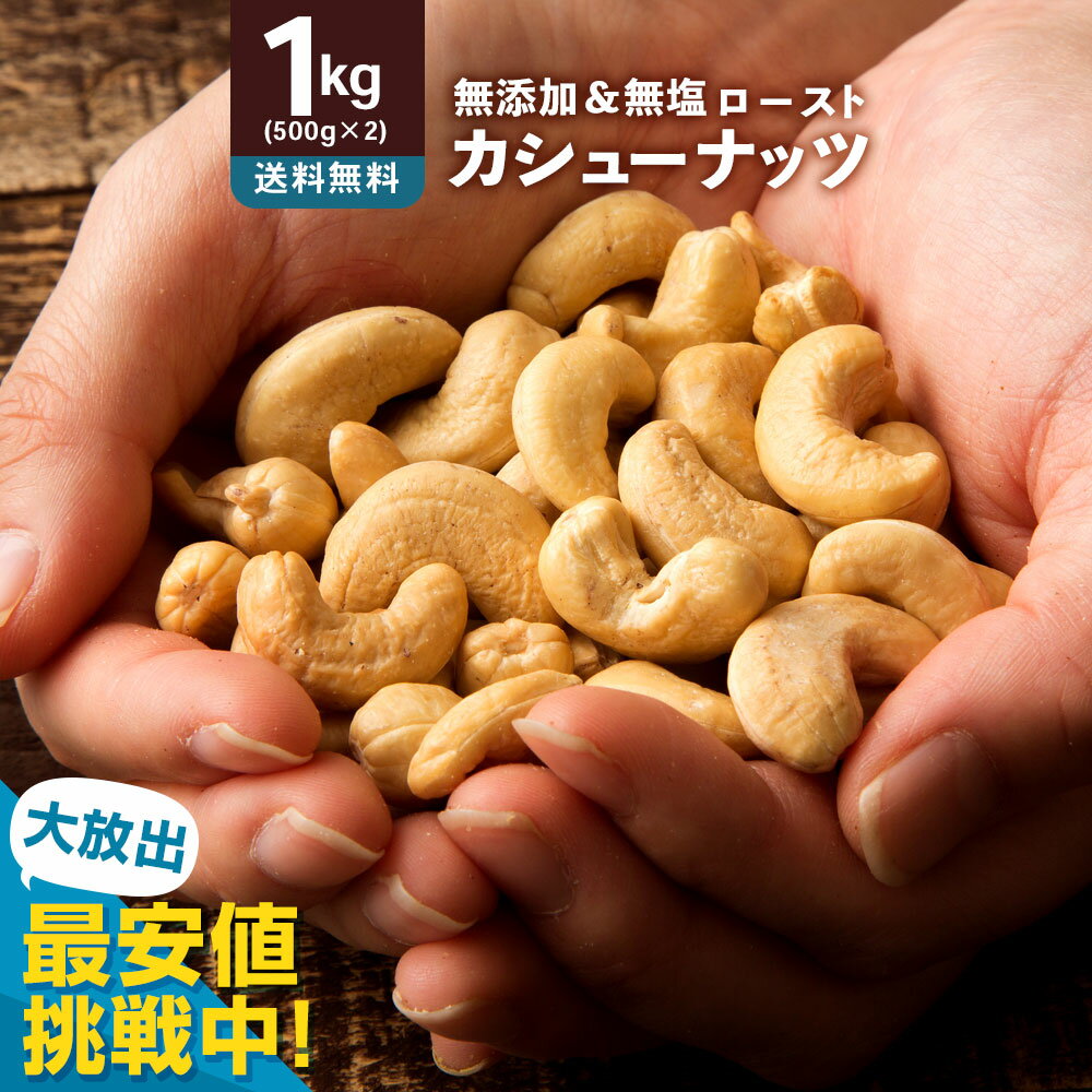 カシューナッツ 素焼き 「愛すべきナッツ 素焼きカシューナッツ 1kg (500g×2) 」[ 送料無料 カシュー ロースト 素焼きナッツ 無添加 無塩 素煎り...