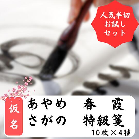かな用半切 4種お試しセット1(あやめ 春霞 さがの 特級箋)【総額6000円超 計40枚 仮名条幅】