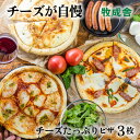 マツコの知らない世界のピザ！ 【チーズたっぷりピザ3枚セット