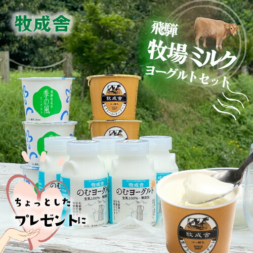 ＜牧成舎の直営販売＞飛騨の牛乳屋がこだわりぬいた、ヨーグルトお手...