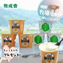 ホリデー10%OFFクーポン【2種ヨーグルト6個セット】 プレゼント ヨーグルト ギフト プチギフト ちょっとしたプレゼント 1000円 2000円 プレーン おいしい 健康 濃厚 なめらか 牧成舎 プレゼント 食品 ハロウィン お歳暮 クリスマス