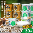 お買い物マラソンSALE!クーポン&楽天プレゼントチャンス! 【カップヨーグルト20個】御祝 プレゼント プチギフト 引越し お祝い お誕生日 ヨーグルト ギフ...
