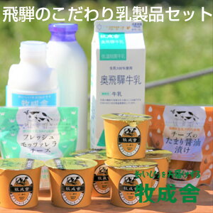 ＜飛騨の乳製品バラエティーセット＞ クリスマス お歳暮 歳暮 ハロウィン ギフト 贈り物 ヨーグルト 牧場 乳製品 詰め合わせ 応援 チーズ 牛乳 飛騨古川 内祝い 誕生日 コロナ 応援 学校 給食 観光地応援 岐阜物産展