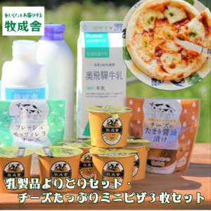 ギフト 贈り物 ヨーグルト ＜飛騨の乳製品＆ミニピザセット＞ ギフト 乳製品 冷凍ピザ 詰め合わせ 応援 チーズ 牛乳 飛騨古川 内祝い 誕生日 コロナ 応援 学校 給食 観光地応援 まとめ買い　物産展