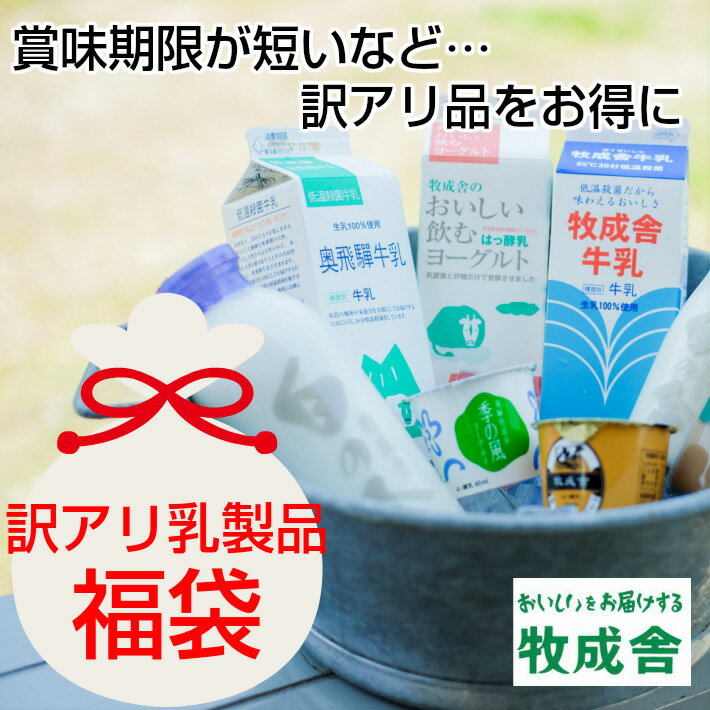 福袋 食品 復興福袋 訳アリ【訳あり乳製品5000円福袋】2022 おつまみ お取り寄せ 牛乳 ヨーグルト クリスマス 食品ロス 乳製品 詰め合わせ 応援 チーズ コロナ 応援 学校 給食 観光地応援 グルメ