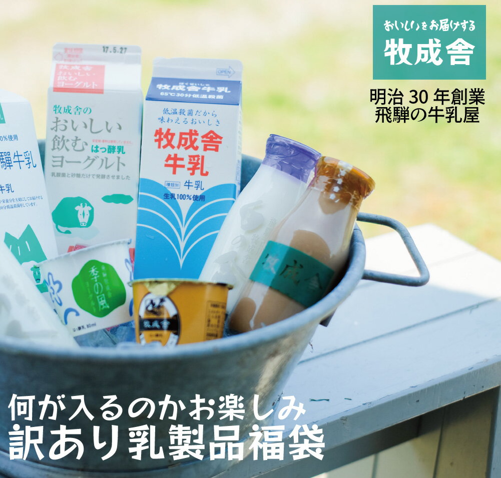 今だけ15％増量＆中身も選べる【訳あり乳製品福袋】 福袋 食品 訳あり 在庫処分 復興福袋 訳アリ 食品ロス 牛乳 ヨーグルト 乳製品 詰め合わせ 応援 チーズ コロナ 学校 給食 御見舞 観光地応援 地域応援 生産者応援 セール 3000円