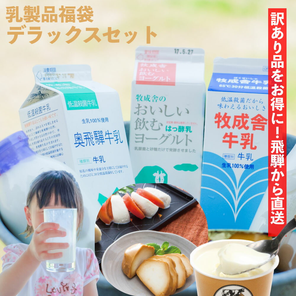 福袋 食品 復興福袋 訳アリ【訳あり乳製品5000円福袋】2022 おつまみ お取り寄せ 牛乳 ヨーグルト クリスマス 食品ロス 乳製品 詰め合わせ 応援 チーズ コロナ 応援 学校 給食 観光地応援 グルメ