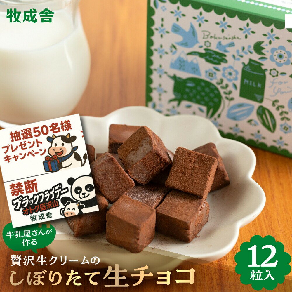 禁断のブラックパンダフライデー＆年末企画！送料無料商品と一緒に！【 贅沢生クリーム搾りたて 生チョコ 12粒】高級チョコレート チョコレート 洋菓子 御祝 生チョコ 生チョコレート プレゼント プチギフト 2000円 お祝い お礼 御礼 年末 お歳暮 クリスマス(4)