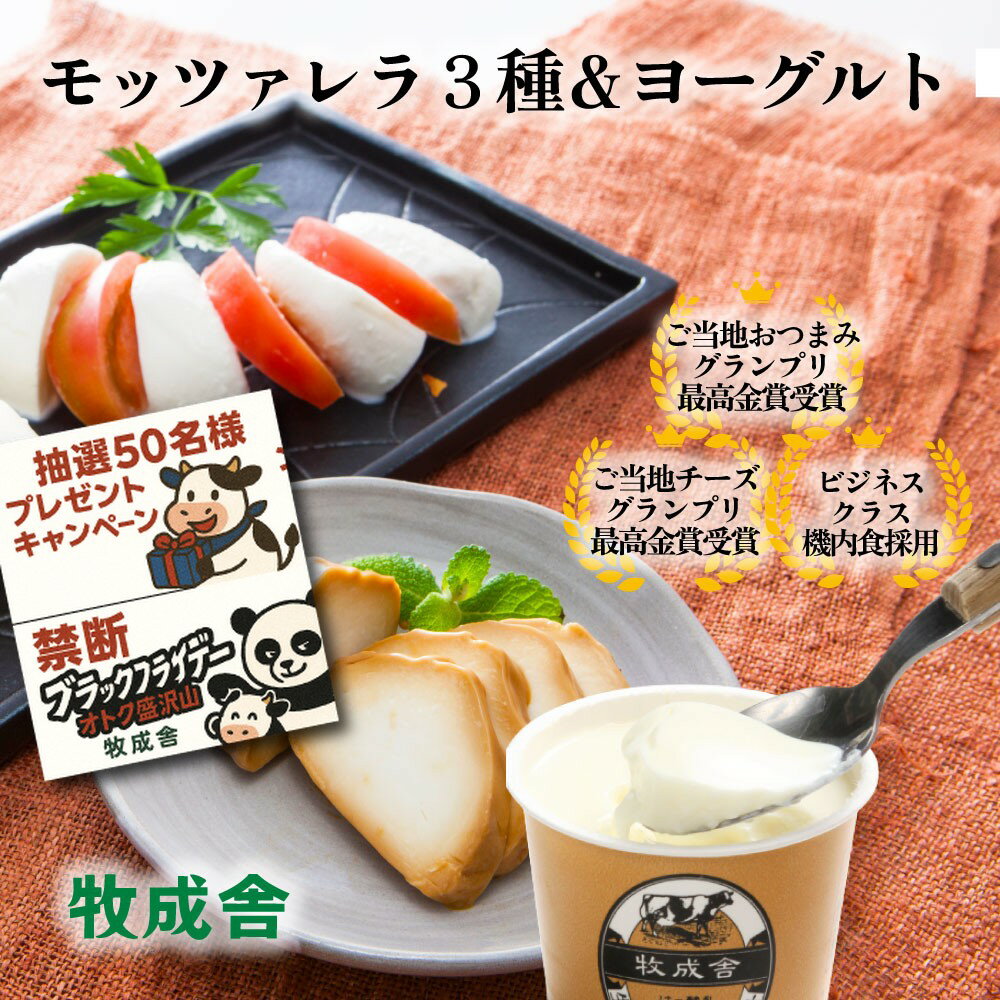 禁断のブラックパンダフライデー&年末企画!白石麻衣さんお取り寄せの品!【 チーズ3種&ヨーグルトセット】DEAL お取り寄せ おつまみ チーズ 国産 お酒 日本...