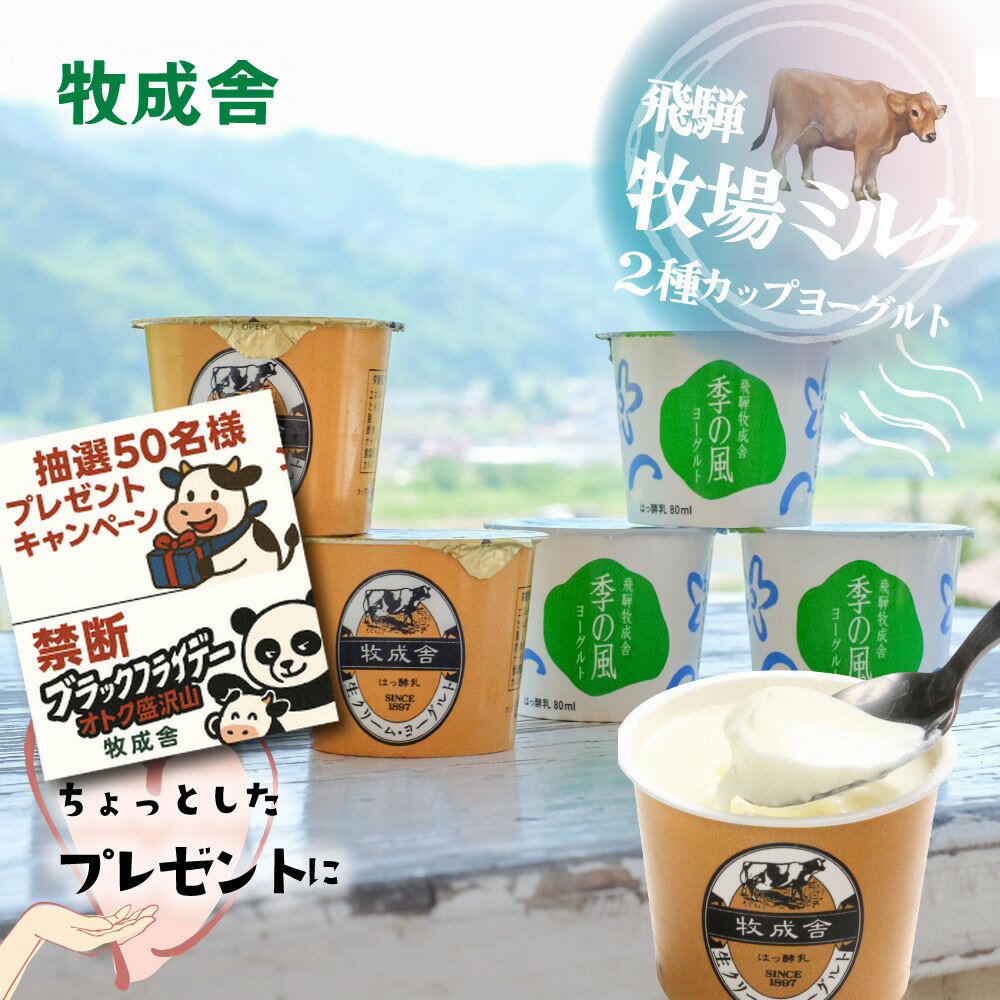 禁断のブラックパンダフライデー&年末企画!【2種ヨーグルト6個セット】 プレゼント ヨーグルト ギフト プチギフト ちょっとしたプレゼント 1000円 2000...