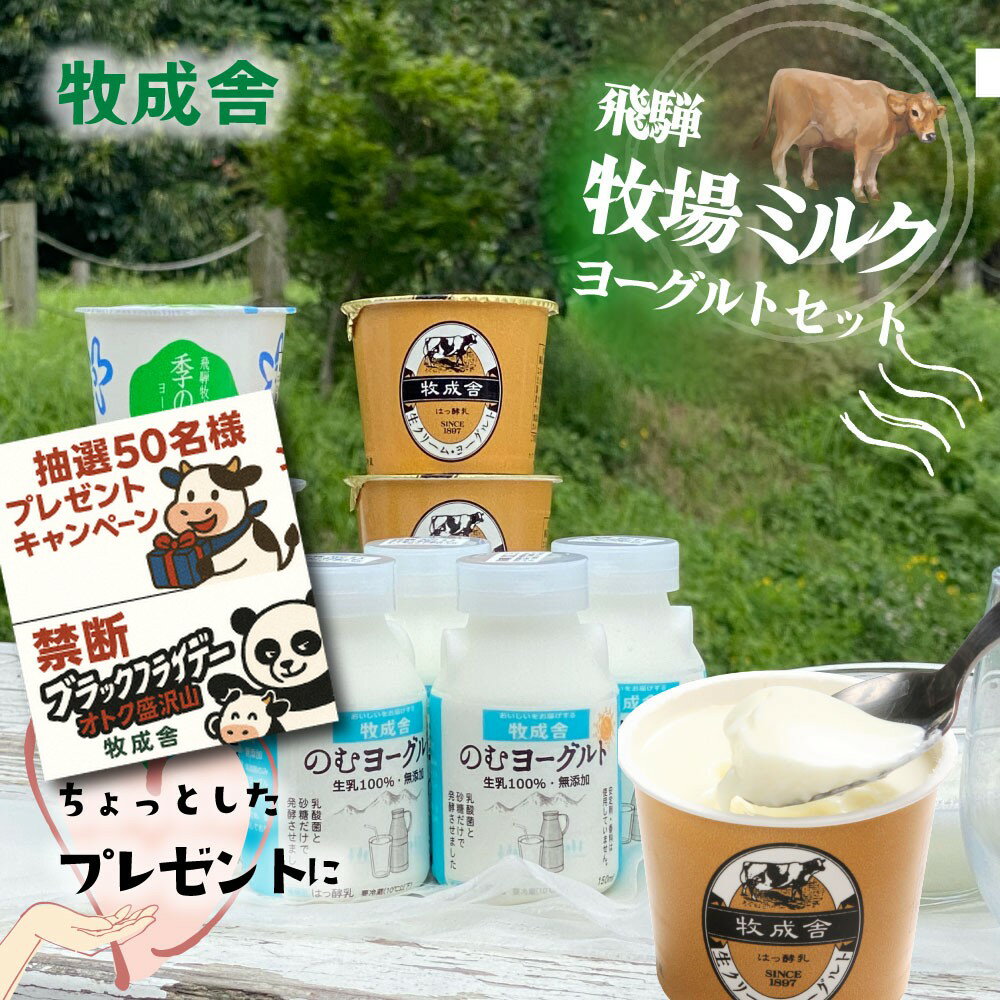 禁断のブラックパンダフライデー＆年末企画！【 ヨーグルト バラエティー 11点セット】プレゼント ヨー..