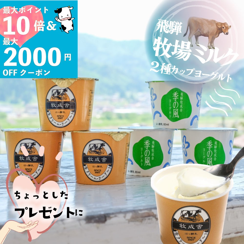 最大P10倍＆最大2000円OFFクーポンでオトク！【2種ヨーグルト6個セット】 プレゼント ヨーグ ...