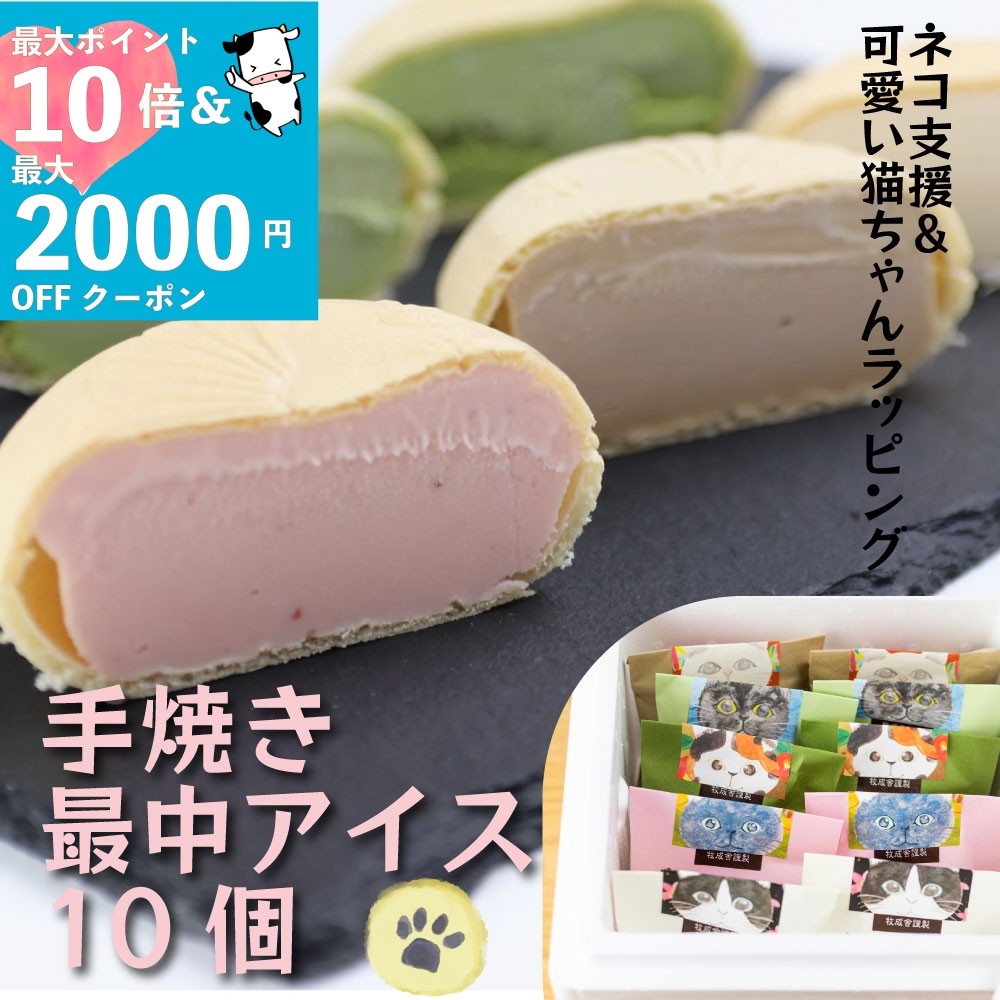 最大P10倍＆最大2000円OFFクーポンでオトク！【猫ちゃんラッピング！猫ちゃん・最中アイス】 アイスク..