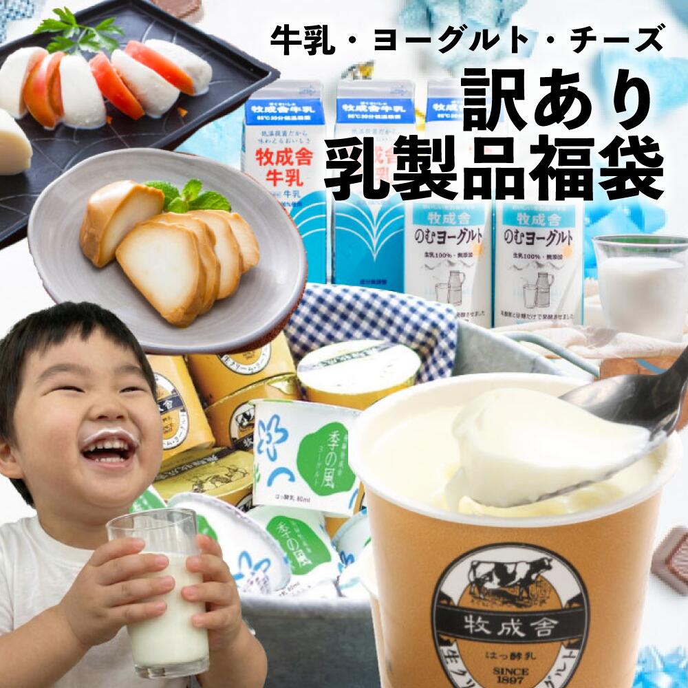 【20日最強！最大P35%還元＆20％増量】 訳あり 乳製品福袋 2026 食品ロス 福袋 食品 国産チーズ 在庫処分 訳アリ 牛乳 ヨーグルト 乳製品 詰め合わせ チーズ 牧成舎 スイーツ 送料無料 ワケアリ ホワイトデー ギフト