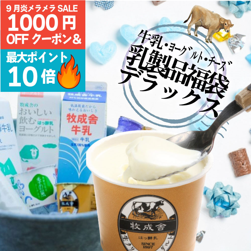 1000円OFFクーポン＆P最大10倍！【乳製品5000円福袋】もったいない 訳アリ ご褒美 福袋 食品 敬老の日 2025 在庫処分 スイーツ おつまみ お取り寄せ 牛乳 ヨーグルト 食品ロス 詰め合わせ チーズ 牧成舎 プレゼント
