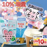 25日最大P50％還元！【クーポン＆10％増量】【乳製品5000円福袋】 もったいない ス...