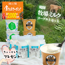 【ふるさと納税】【定期便6か月】飛騨のカップヨーグルト20個セット 毎月1回お届け 乳製品 ヨーグルト2種類 セット 詰合せ 牧成舎 TR3751 お楽しみ