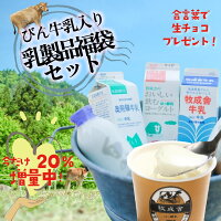 【ポイント最大15倍＆合言葉で生チョコGET！】5月1日 ワンダフルデー 限定販売【瓶...