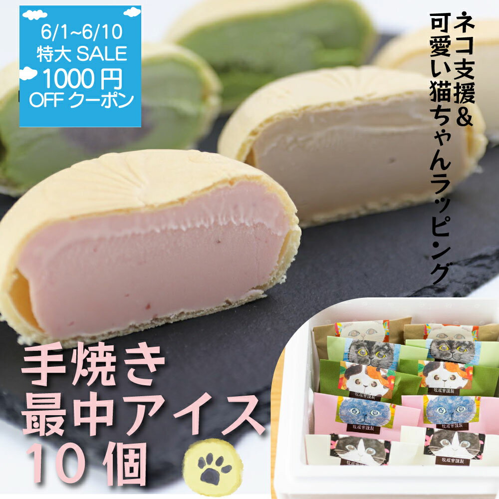 6月セール1000円OFFクーポン【猫ちゃ