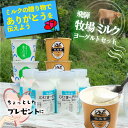 \ 母の日 遅れてごめんね &最大2000円OFFクーポンでオトク/【ヨーグルトバラエティ