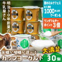 1000円OFFクーポン お中元【 ヨーグルト カップ 30個】プレゼント 大容量 3000円 4000円 食品 詰合せ ギフト 乳製品 まとめ買い 内祝い お...
