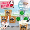 \ 母の日 まだ間に合う &10%OFFクーポン/【2種ヨーグルト6個セット】プレゼント ヨーグルト ギフト プチギフト ちょっとしたプレゼント 1000円 2...