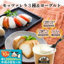 6日限定 半額 セール 父の日 白石麻衣さん取り寄せ【チーズ 3種 & ヨーグルト セット 】 お取り寄せ おつまみ 国産 お酒 日本酒 ワイン ギフト 内祝い...