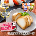 \ 母の日 まだ間に合う &10%OFFクーポン/【和モッツァレラチーズ5個セット】おつまみ チーズ お酒 ギフト お取り寄せ お見舞い 国産 モッツァレラ手土...