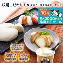 父の日 【チーズ4種&ヨーグルトセット】 プレゼント 御祝 甘くない ギフト チーズ モッツァレラ セミハード ヨーグルト ギフト 内祝い おつまみ ワイン お...