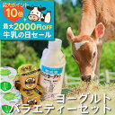 9日限定半額 セール 父の日 【 ヨーグルト バラエティー 7点 】産地直送 牧場 ちょっとしたプレゼント 食品 お取り寄せ ヨーグルト ギフト 詰め合わせ プ...
