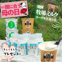 \ 母の日 まだ間に合う &10%OFFクーポン/【ヨーグルトバラエティー11点セット】プレゼント ヨーグルト ギフト プレゼント 食品 お取り寄せ 詰め合わせ...