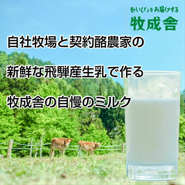 【2回用】牛乳 ドリンクヨーグルト 低温殺菌牛...の紹介画像3