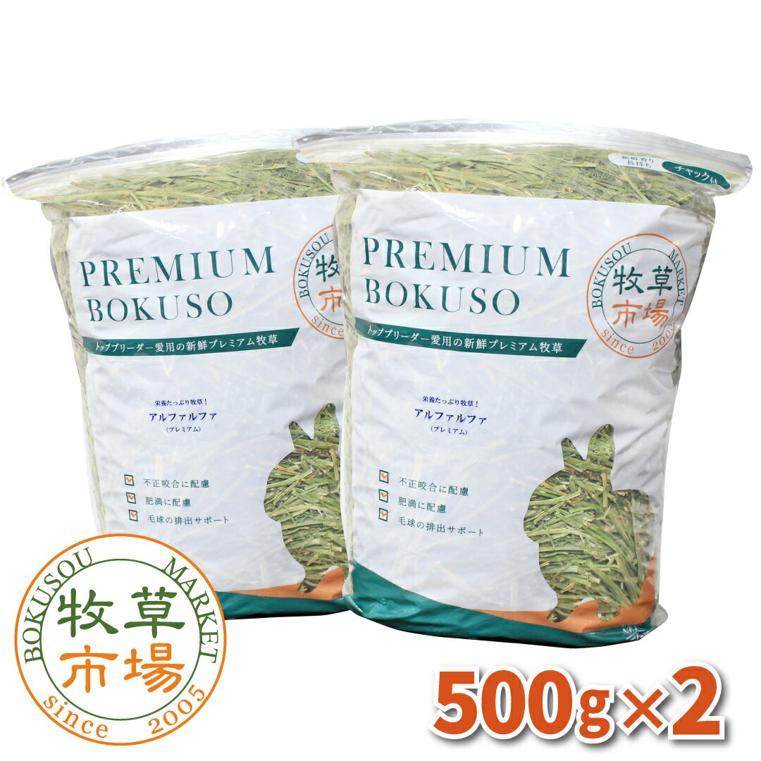 牧草市場 アルファルファプレミアム（牧草）1kg (500g×2パック) 1