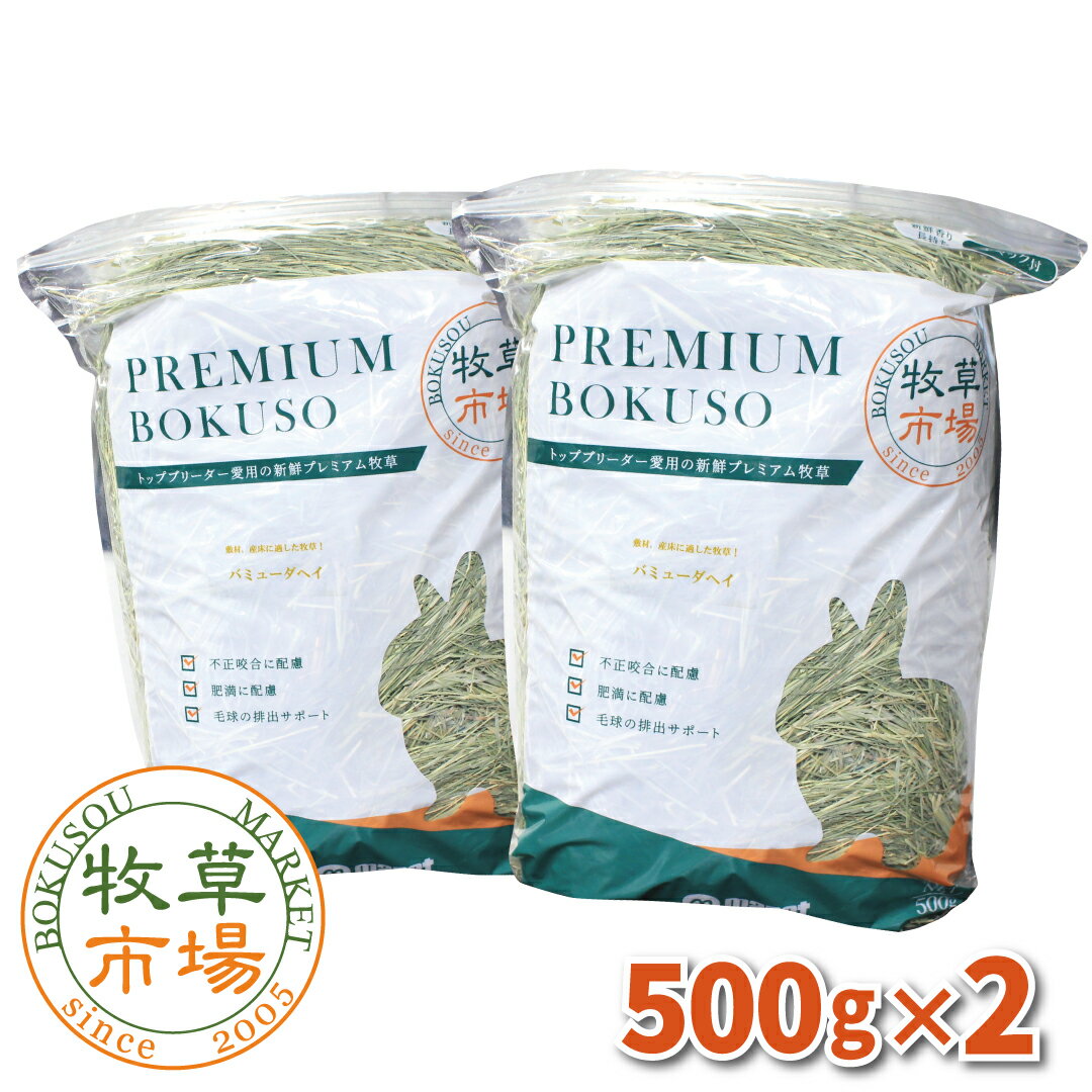 牧草市場 バミューダヘイ 1kg (500g×2パック)