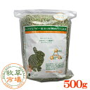 【令和2年度産新刈り】牧草市場 USチモシー3番刈り牧草 スーパーソフト 500g (500g×1パック)（三番刈りソフトチモシー）