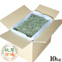 ◆令和6年度産新刈り◆牧草市場 USチモシー3番刈り牧草 スーパーソフト 10kg袋入 業務用(三番刈りソフトチモシー)