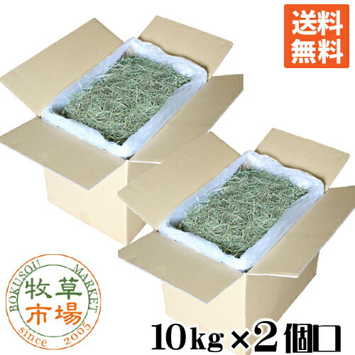 【令和5年度産新刈り】牧草市場 USチモシー3番刈り牧草 スーパーソフト 20kg（10kg×2個口）袋入 業務用（三番刈りソ…